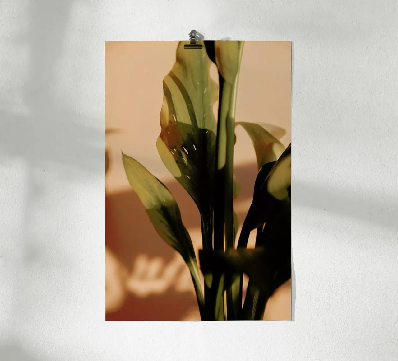 Perfect Light poster da Flora & Fauna