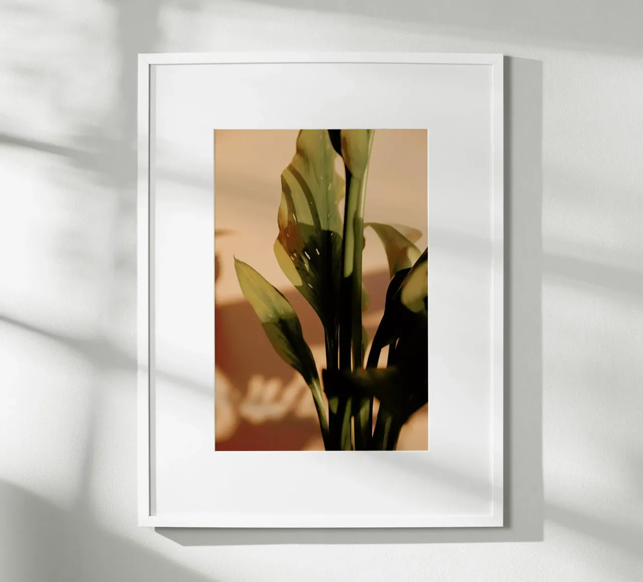 Perfect Light poster da Flora & Fauna