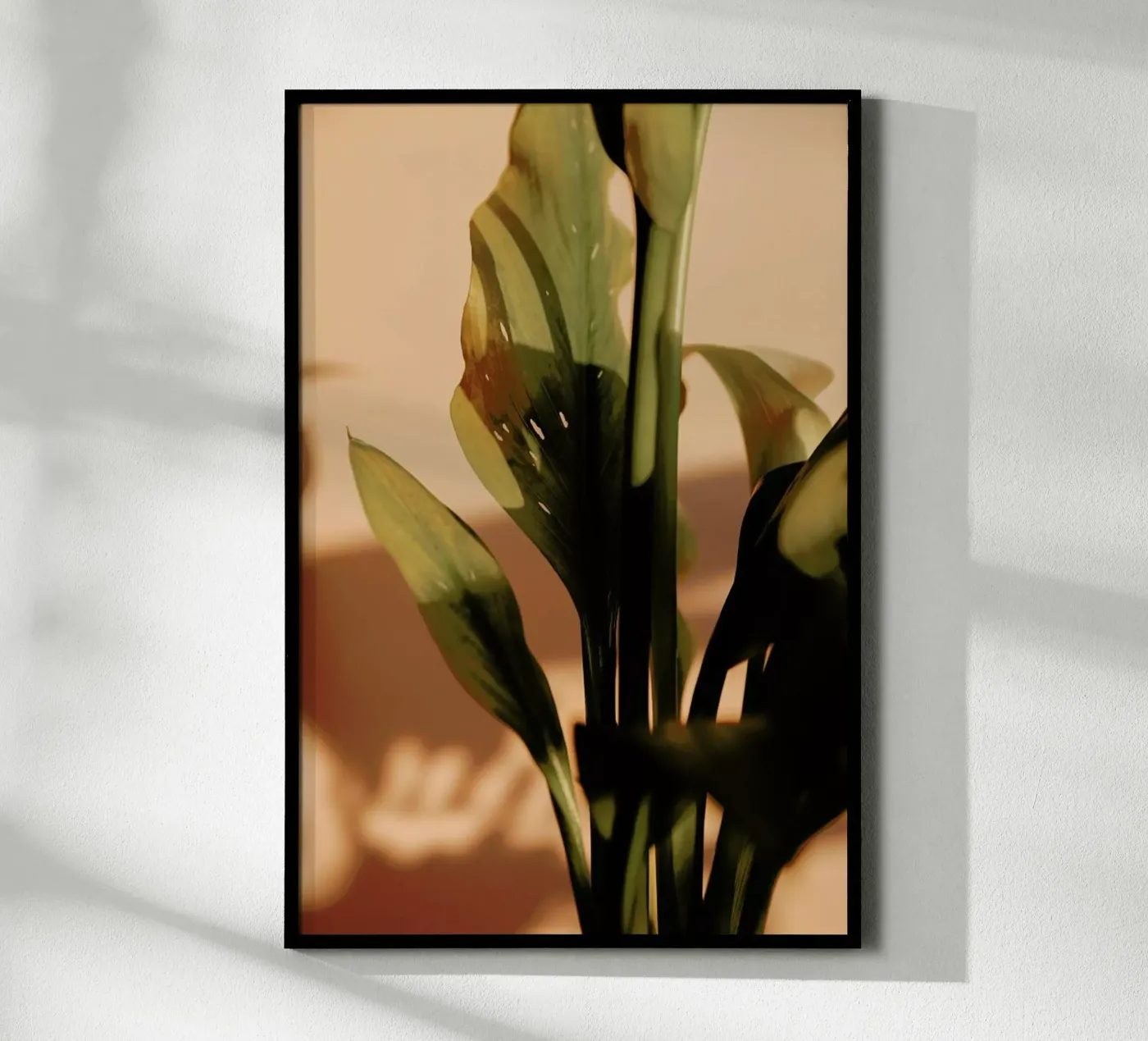 Perfect Light poster van Flora & Fauna