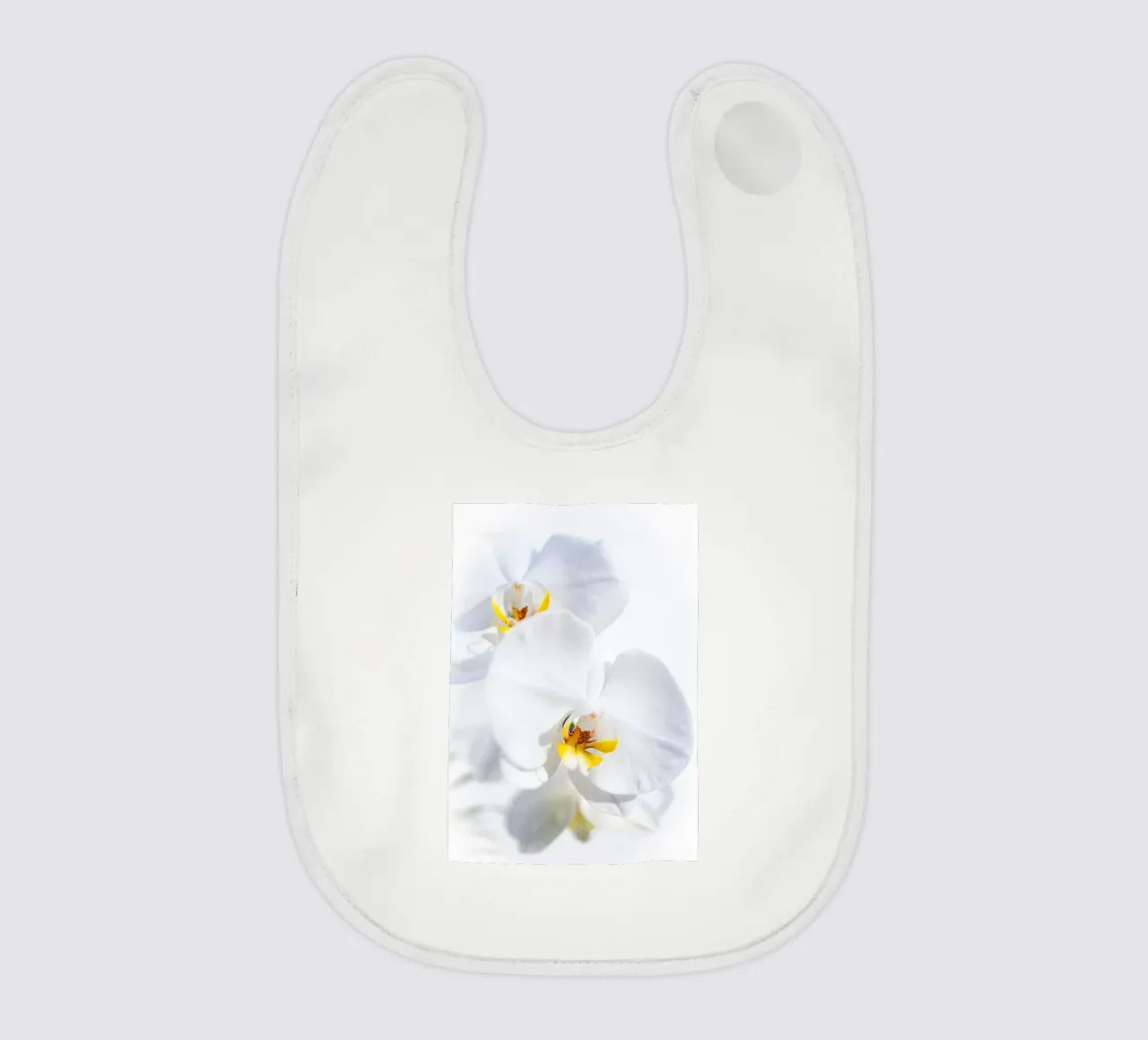 Orchidea #4 bavaglino da rafael campezato