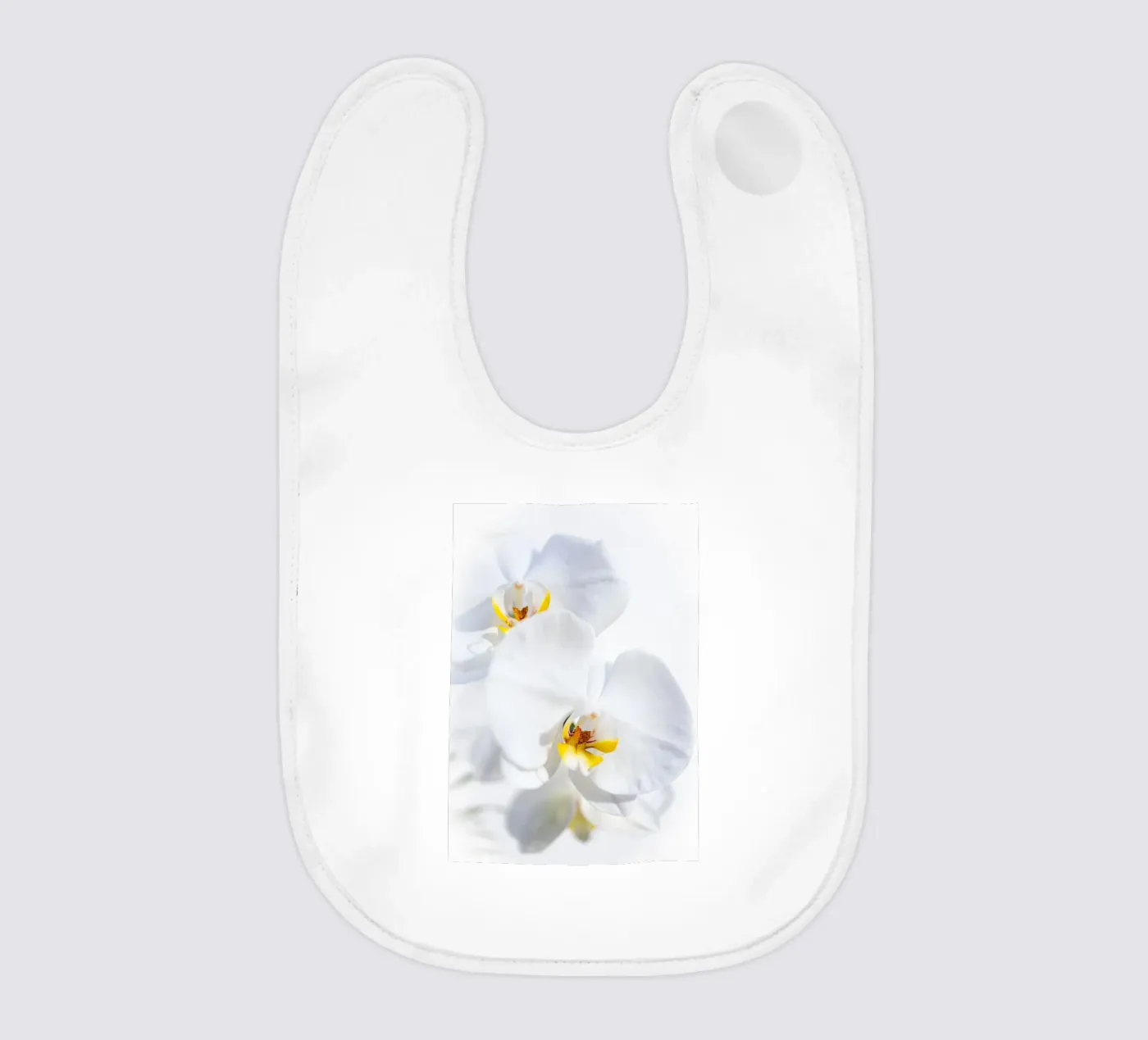 Orchid #4 bavaglino da rafael campezato