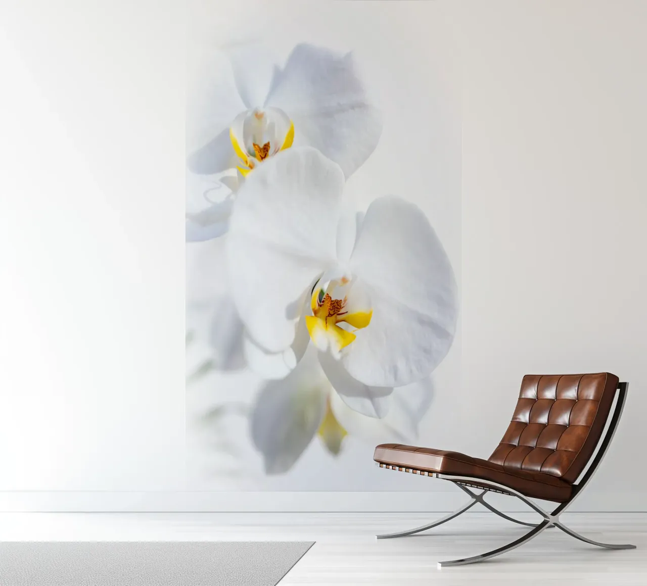 Orchidee #4 Fototapete von rafael campezato