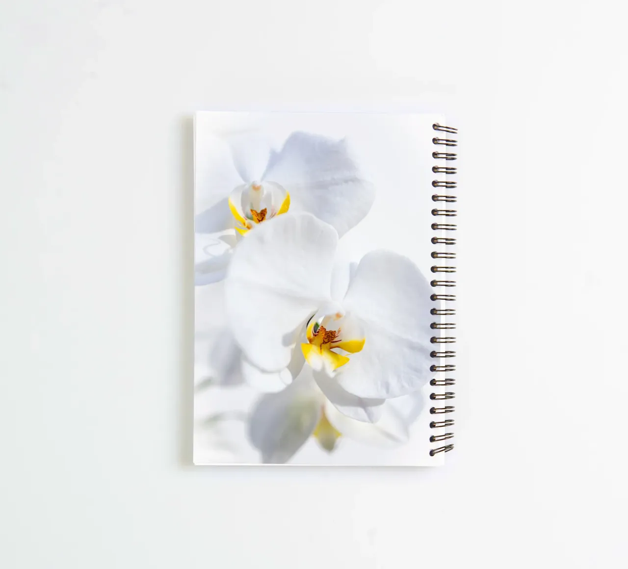 Orchid #4 spiral notebook by rafael campezato