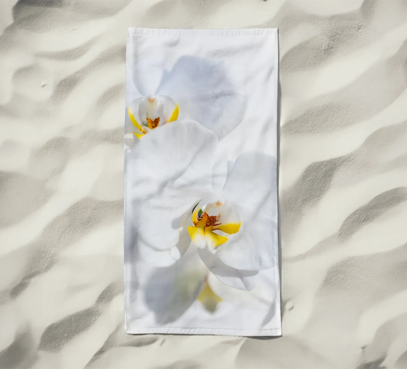 Orchidea #4 telo mare da rafael campezato