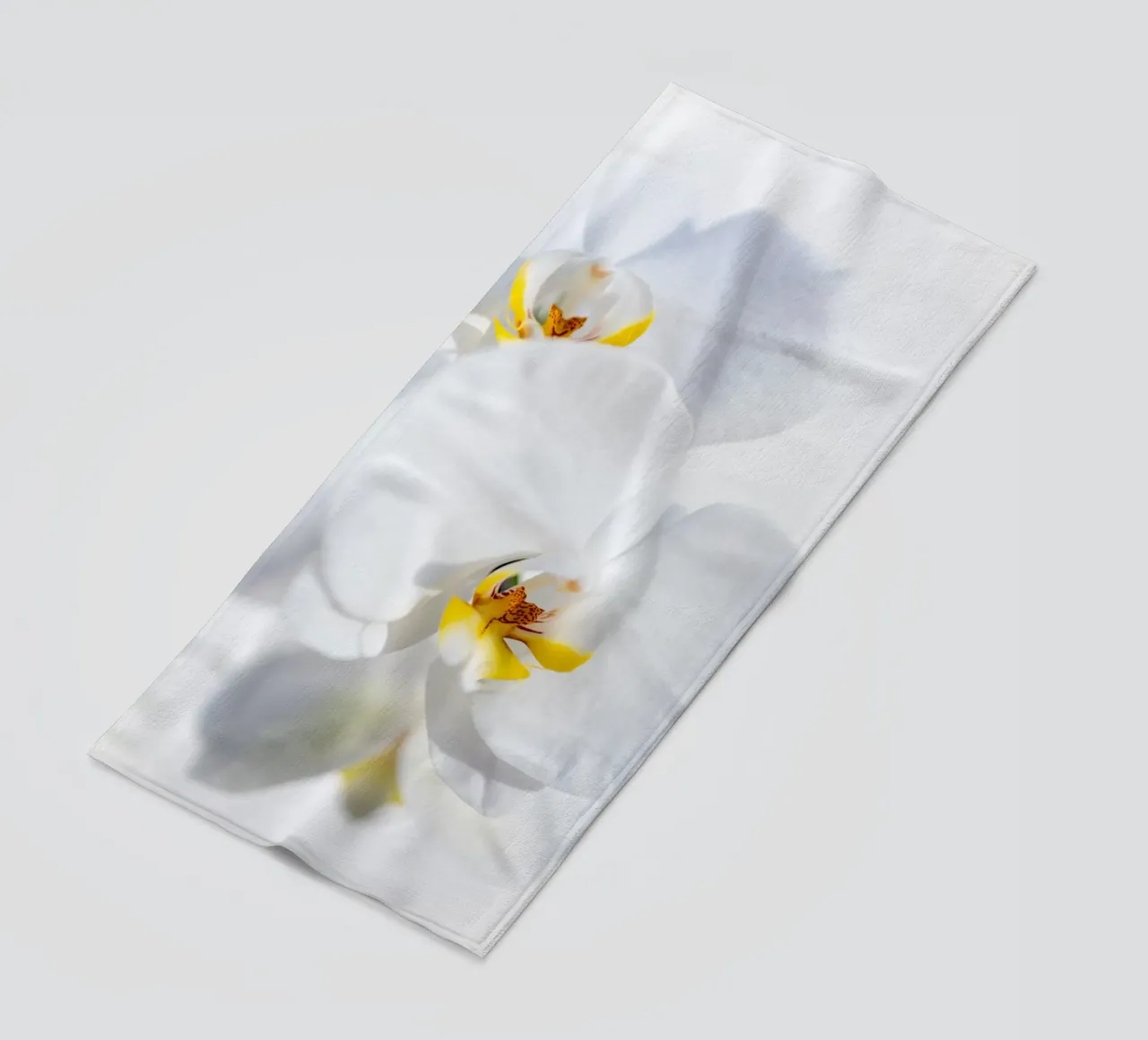 Orchidea #4 telo mare da rafael campezato