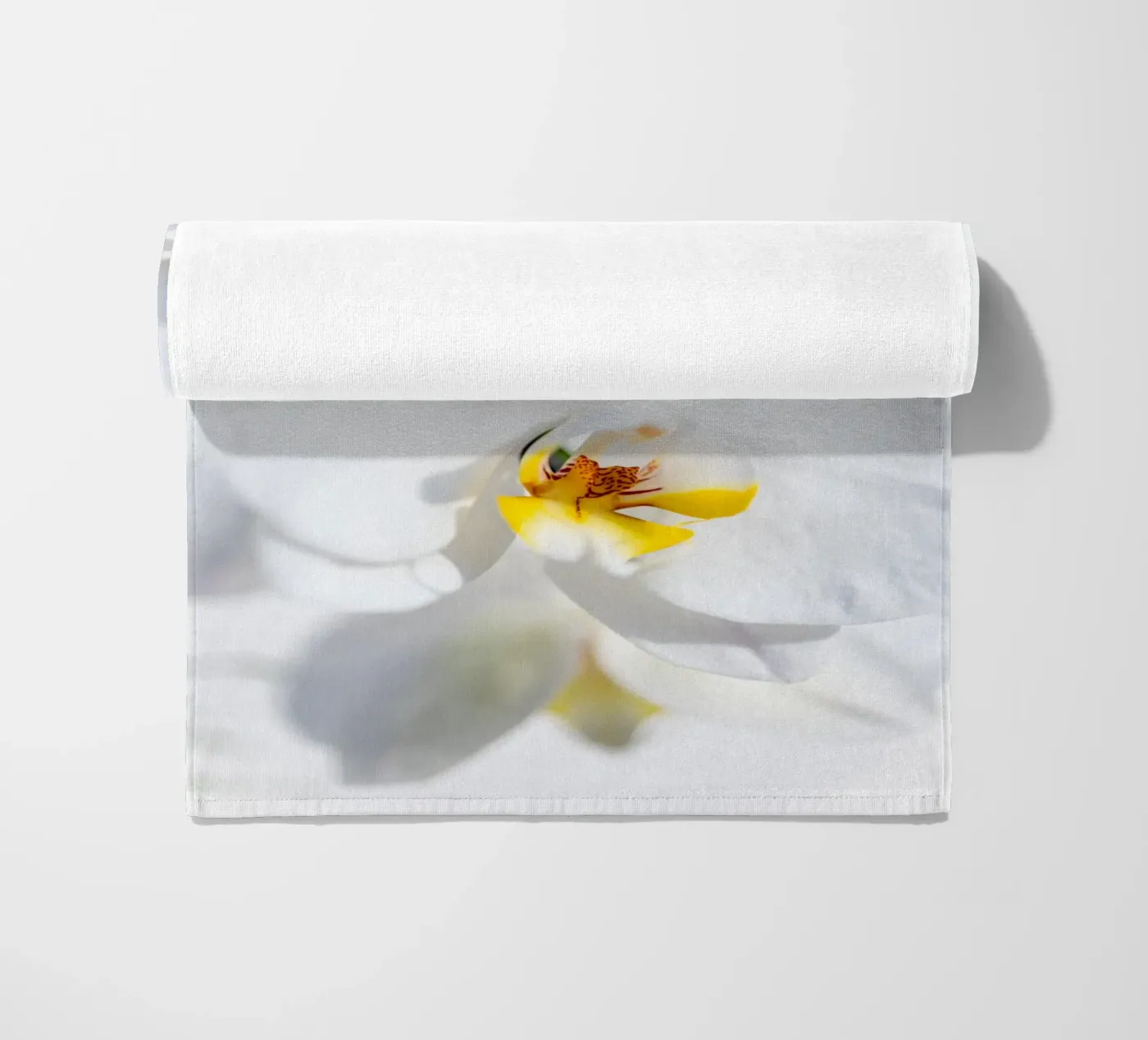 Orchidea #4 telo mare da rafael campezato