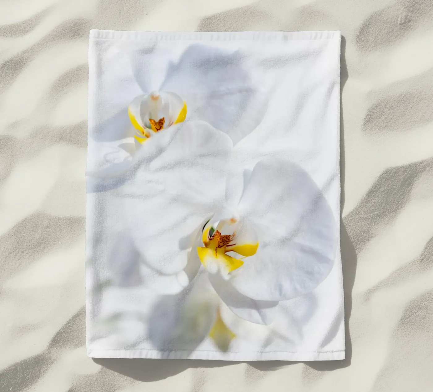 Orchidea #4 telo mare da rafael campezato