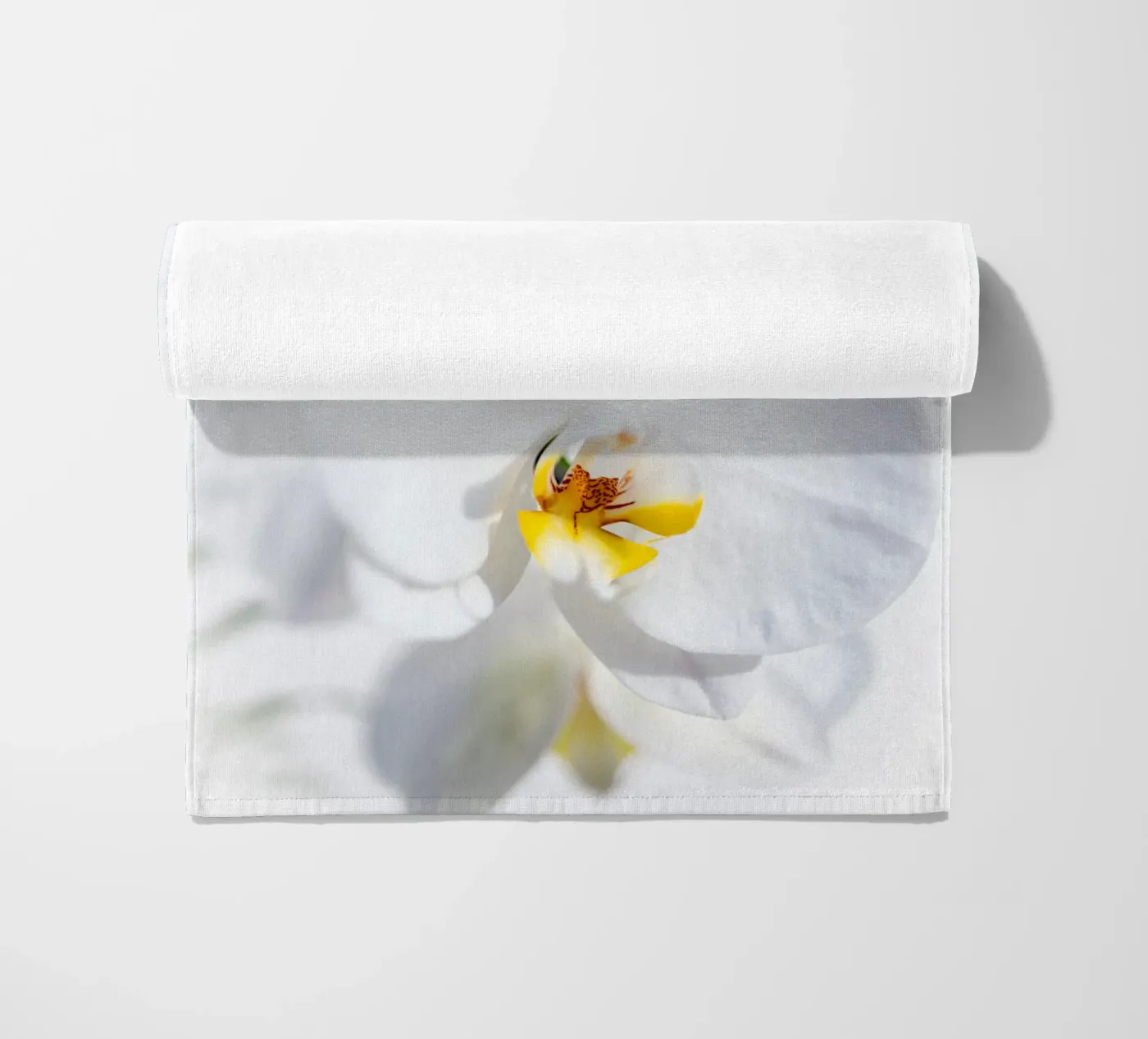 Orchidea #4 telo mare da rafael campezato