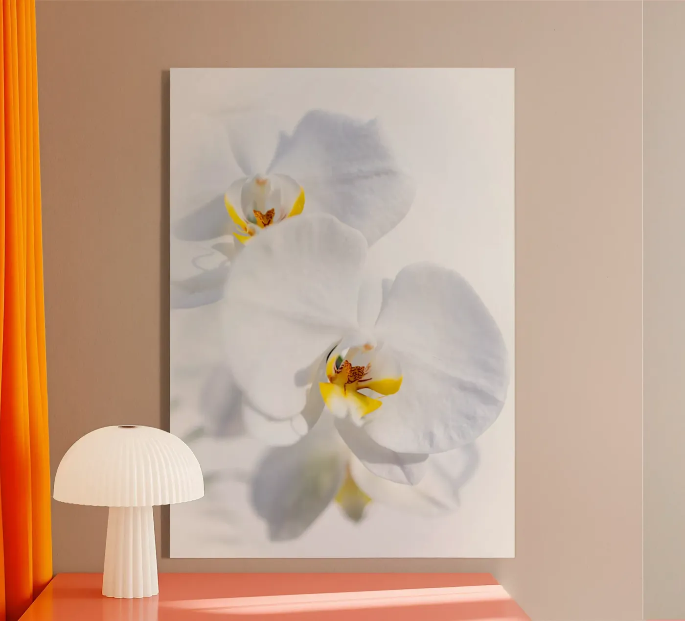 Orchid #4 acrylic glass by rafael campezato