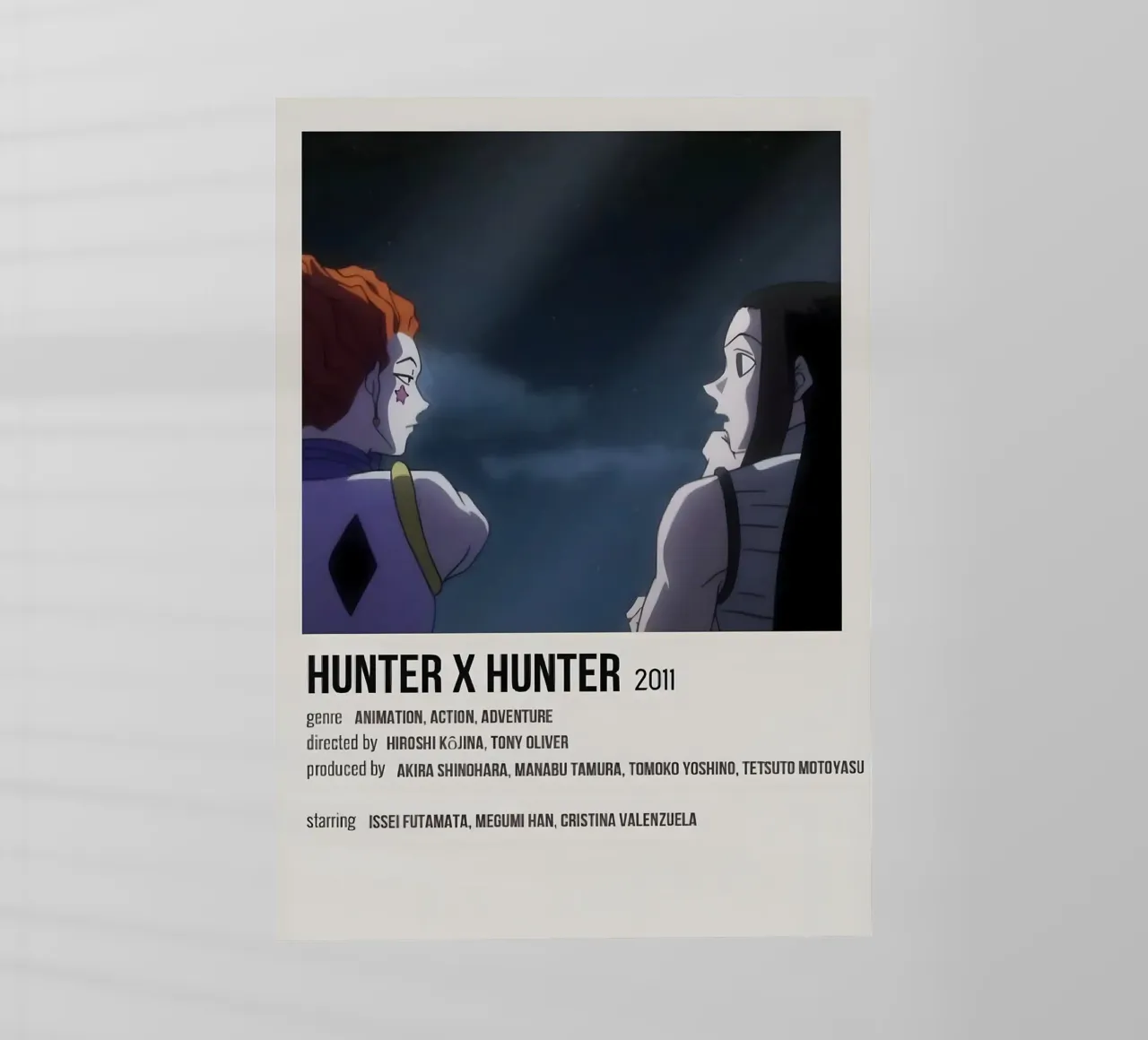 HUNTER X HUNTER 2011 pellicola backlit da Totoya