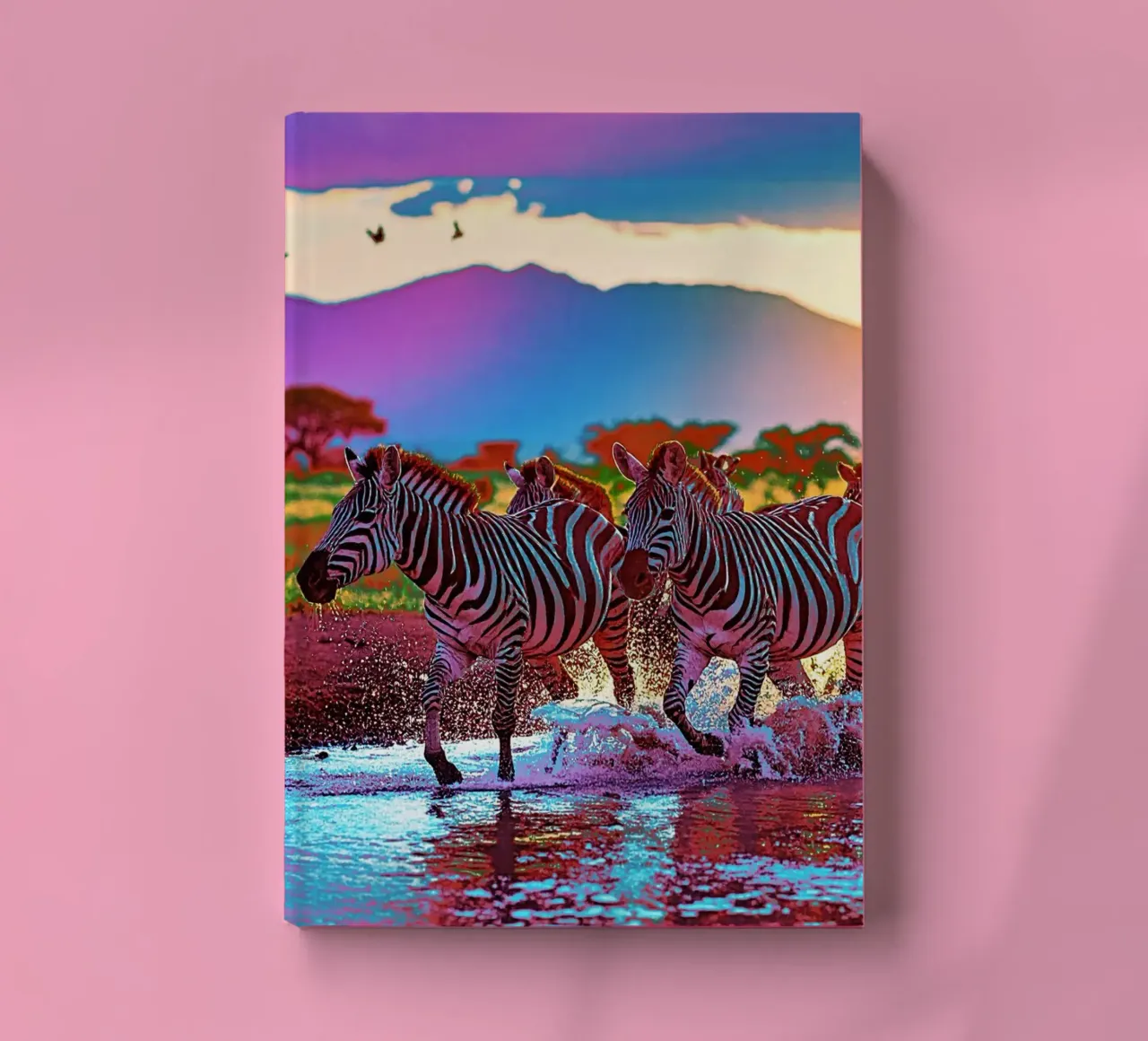 TROUPEAU DE ZEBRES AU SOLEIL COUCHANT. Couleur notebook by Thierry vobmann photography