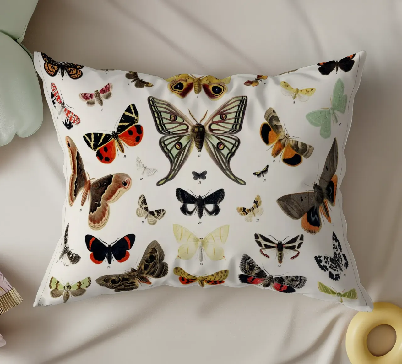 Lithographie ancienne de papillon et de mite Insecte ancien coussin de Venus Art