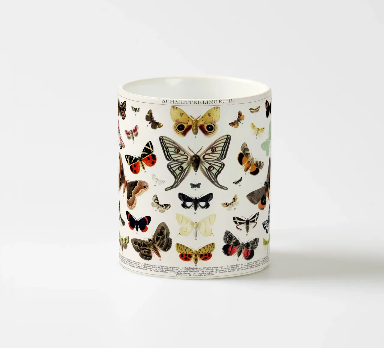Lithographie ancienne de papillon et de mite Insecte ancien mug en céramique de Venus Art