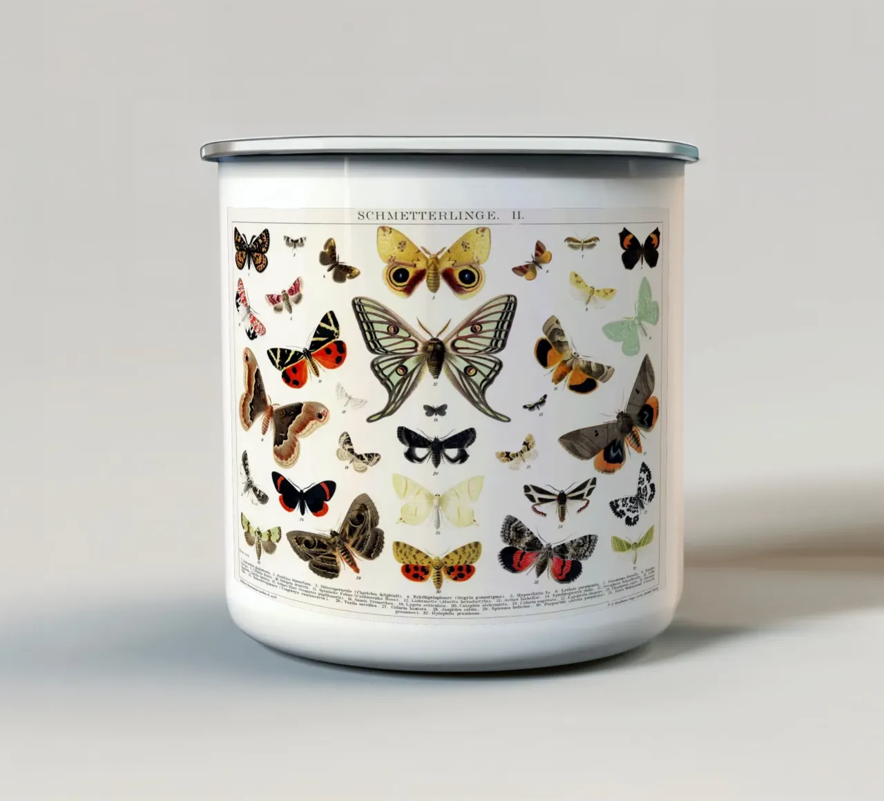 Lithographie ancienne de papillon et de mite Insecte ancien mug en émail de Venus Art