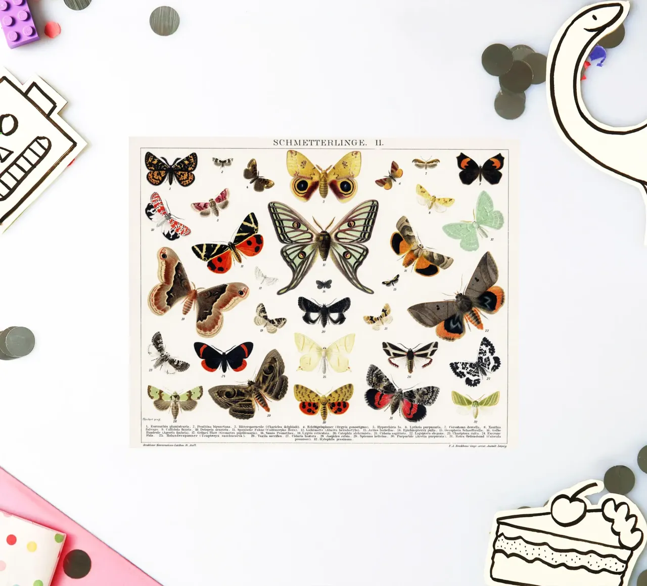 Lithographie ancienne de papillon et de mite Insecte ancien autocollant de Venus Art