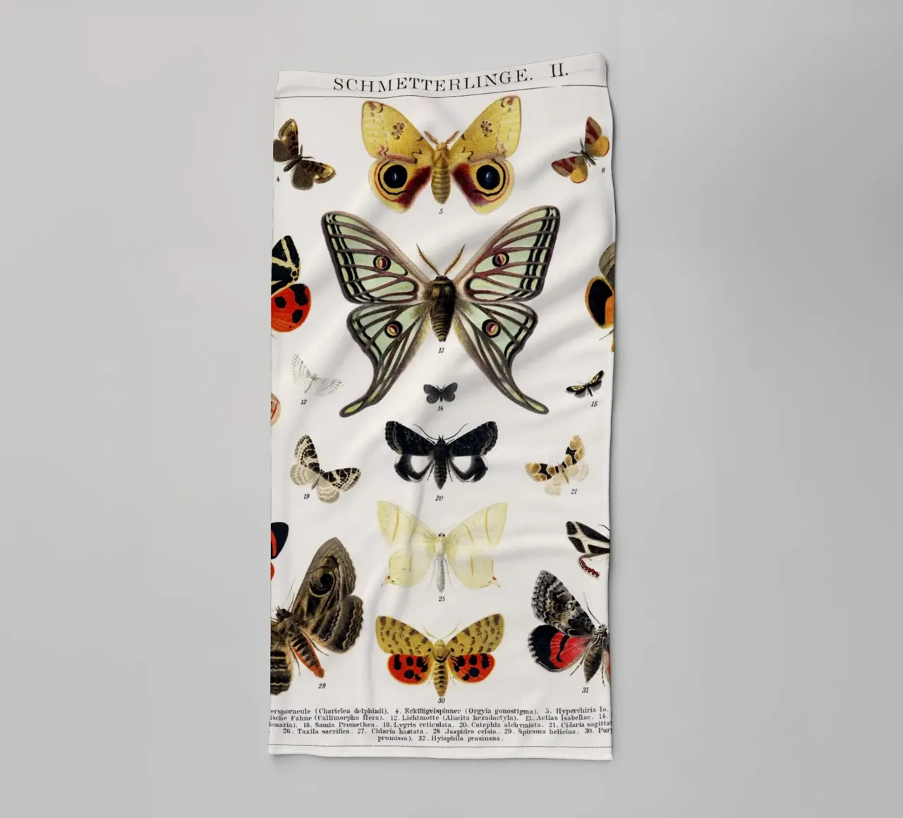 Antike Schmetterling und Motte Lithographie Antike Insekt Handtuch von Venus Art