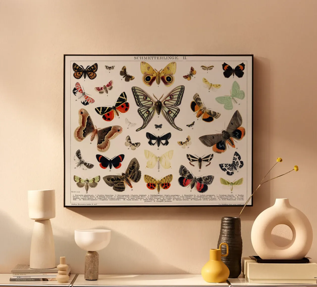 Lithographie ancienne de papillon et de mite Insecte ancien plexiglas de Venus Art