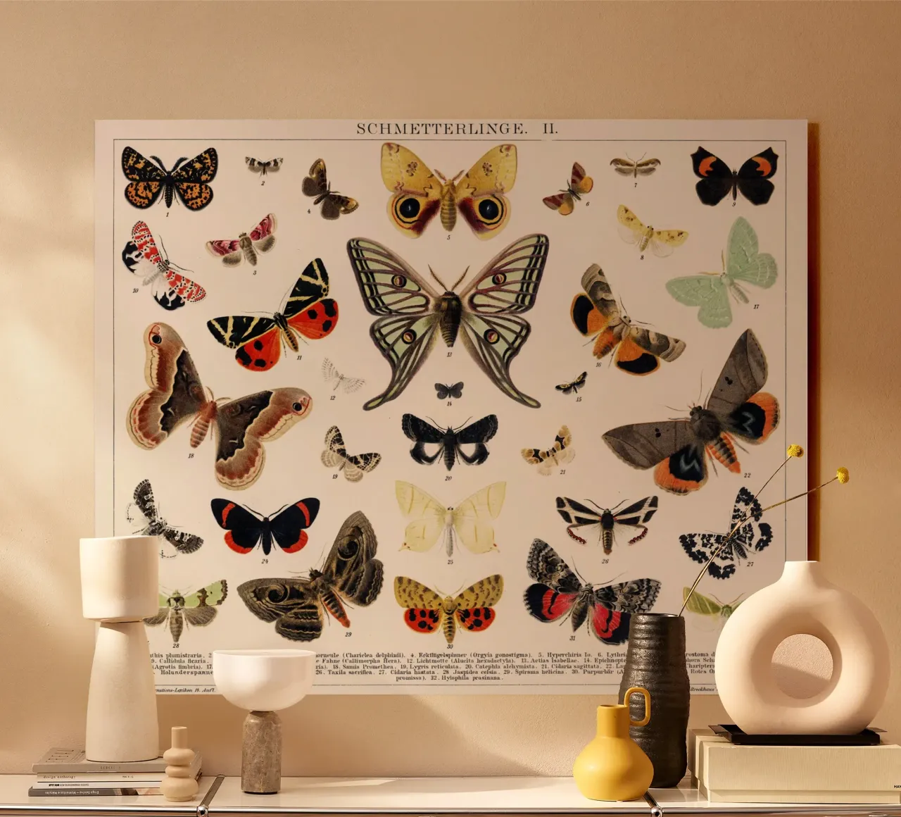 Lithographie ancienne de papillon et de mite Insecte ancien plexiglas de Venus Art