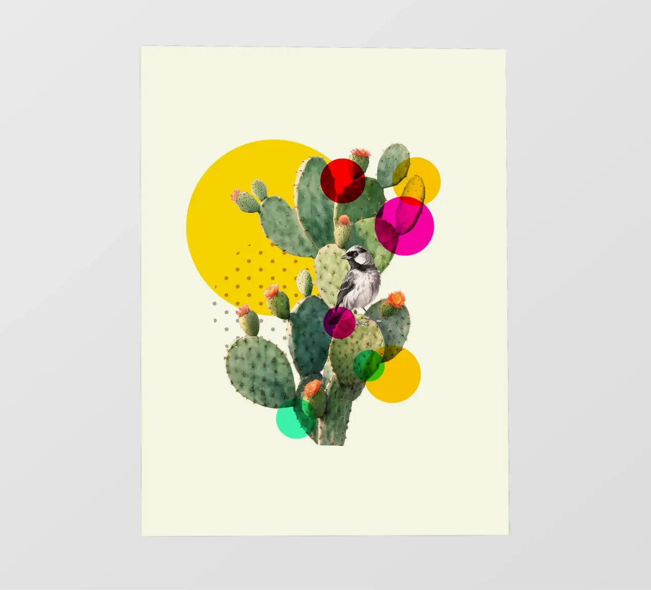 Color Pop Cactus pellicola backlit da Indigo Rain