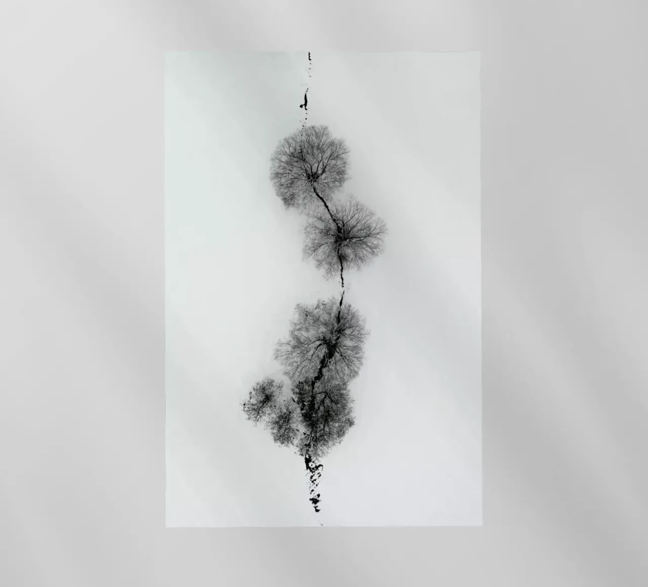 Trees At A Snowy Ice Stream pellicola backlit da Studio Nahili