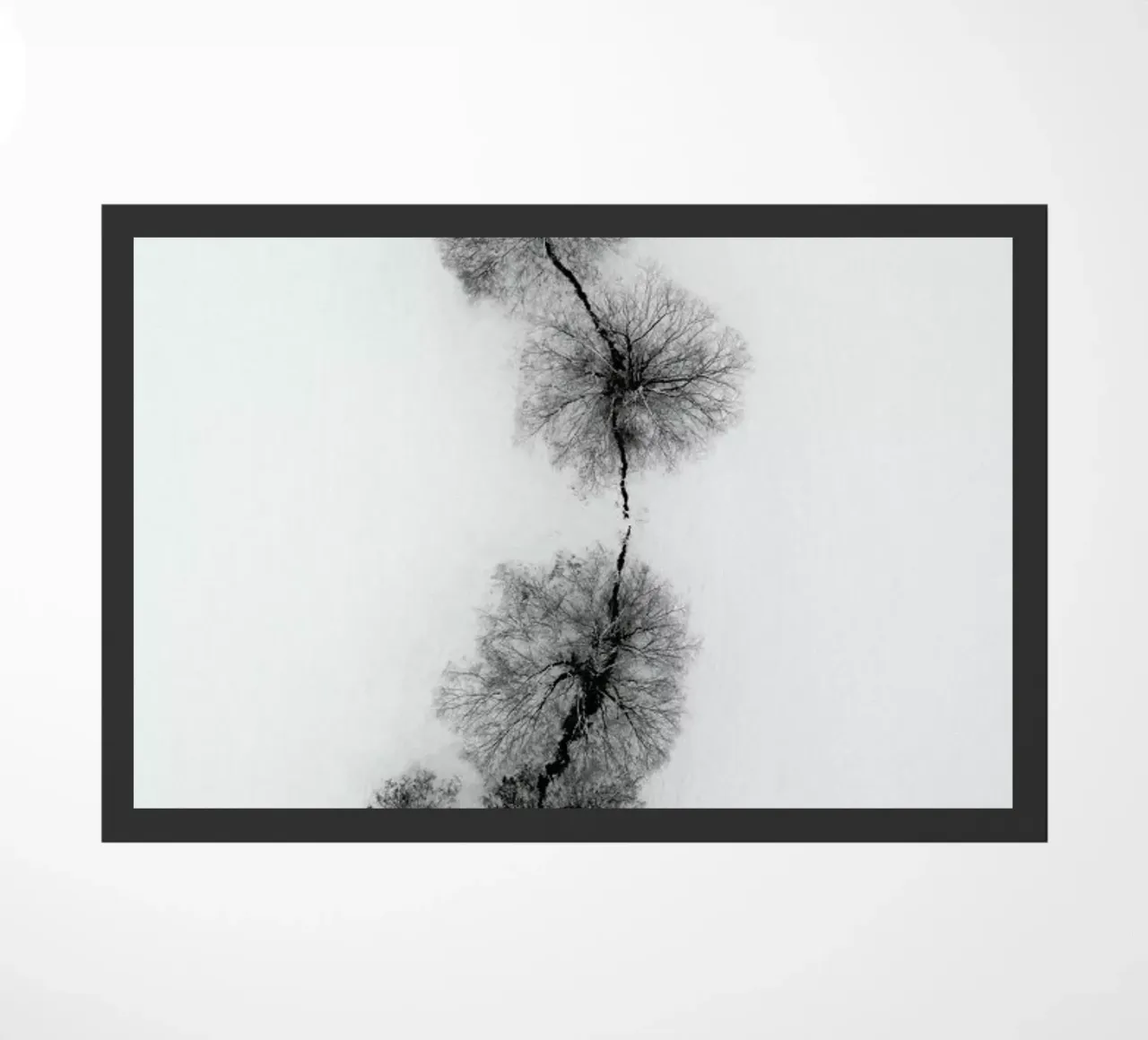 Trees At A Snowy Ice Stream zerbino da Studio Nahili