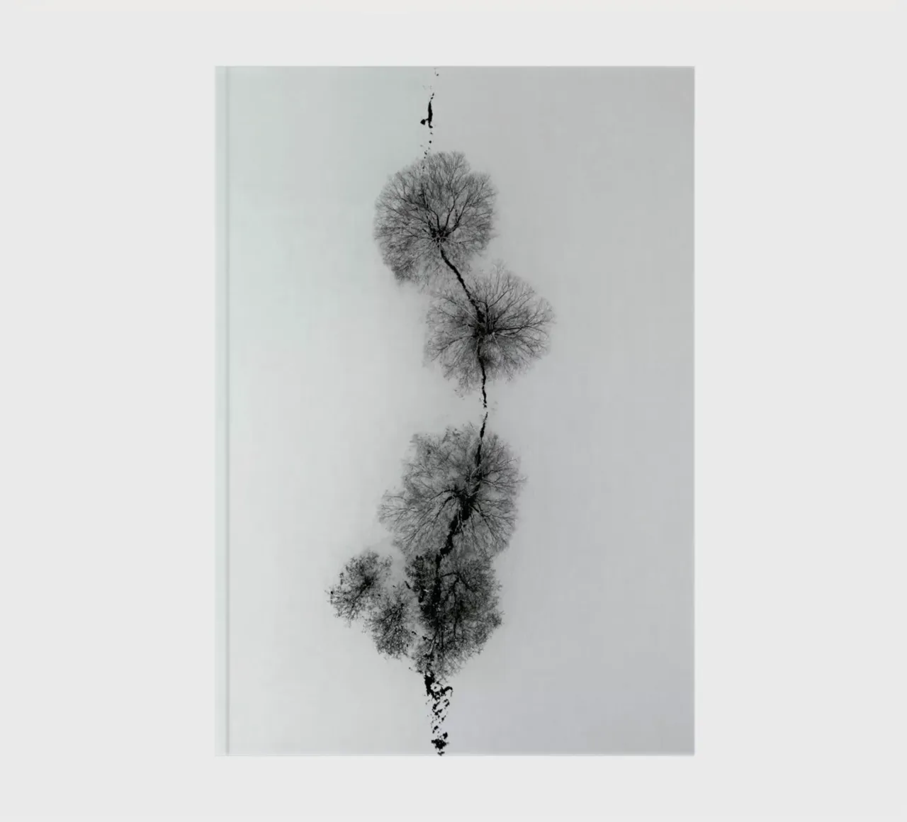 Trees At A Snowy Ice Stream diario da Studio Nahili