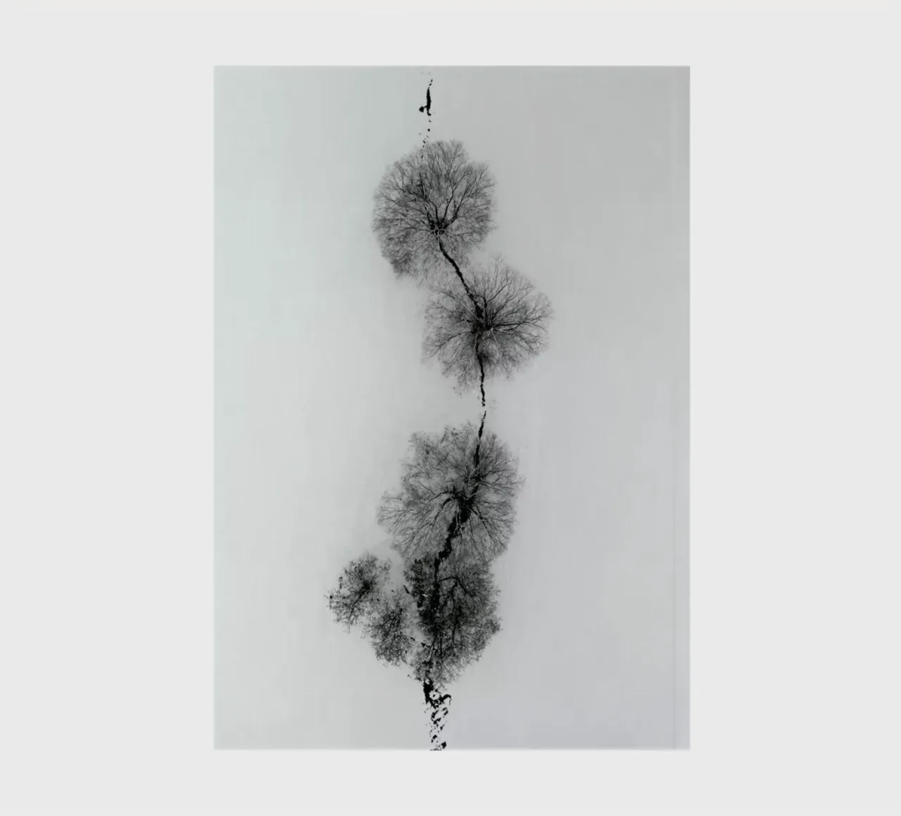 Trees At A Snowy Ice Stream cuaderno de Studio Nahili