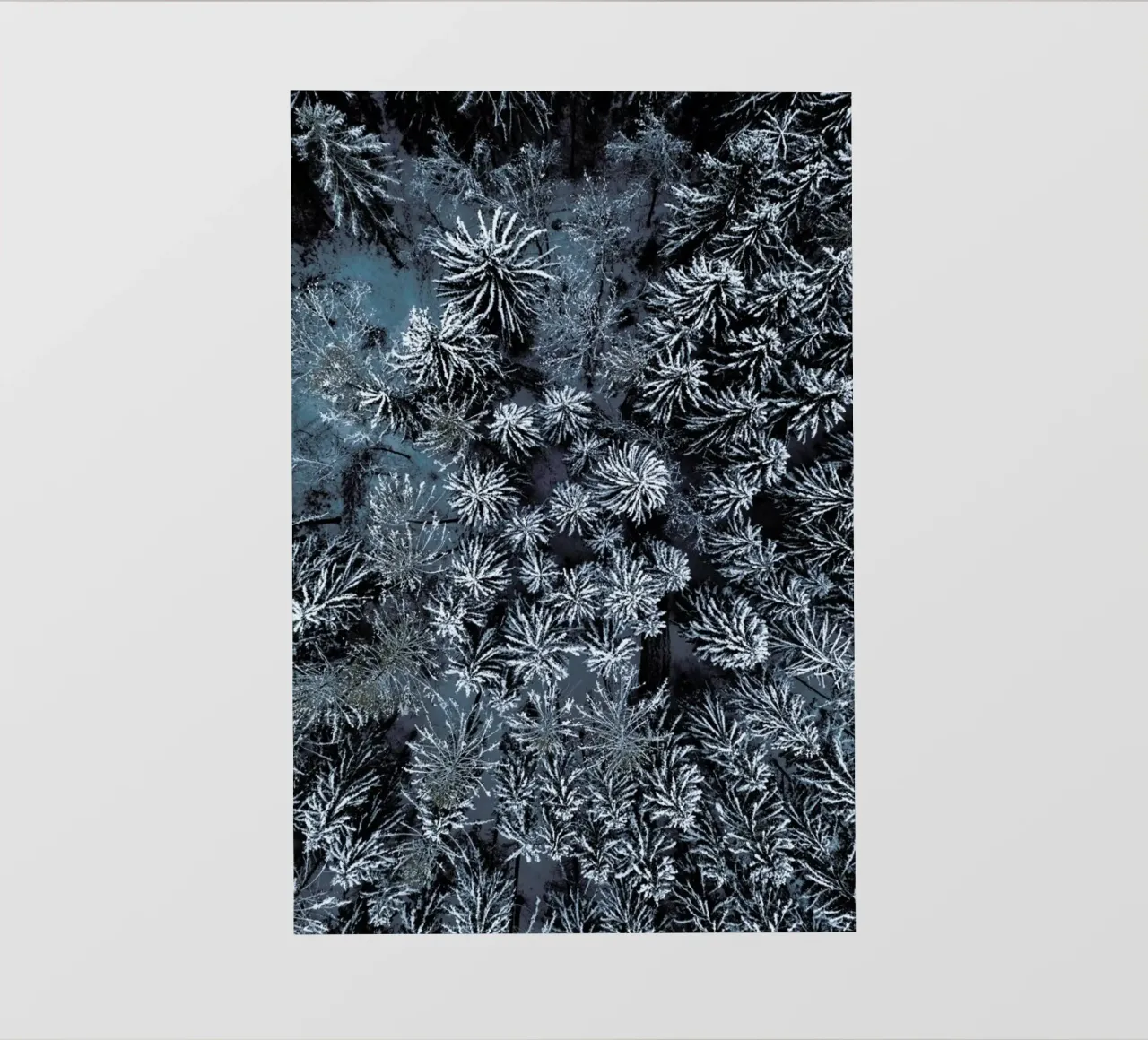 Path Through The Winter Forest telo in pvc da Studio Nahili