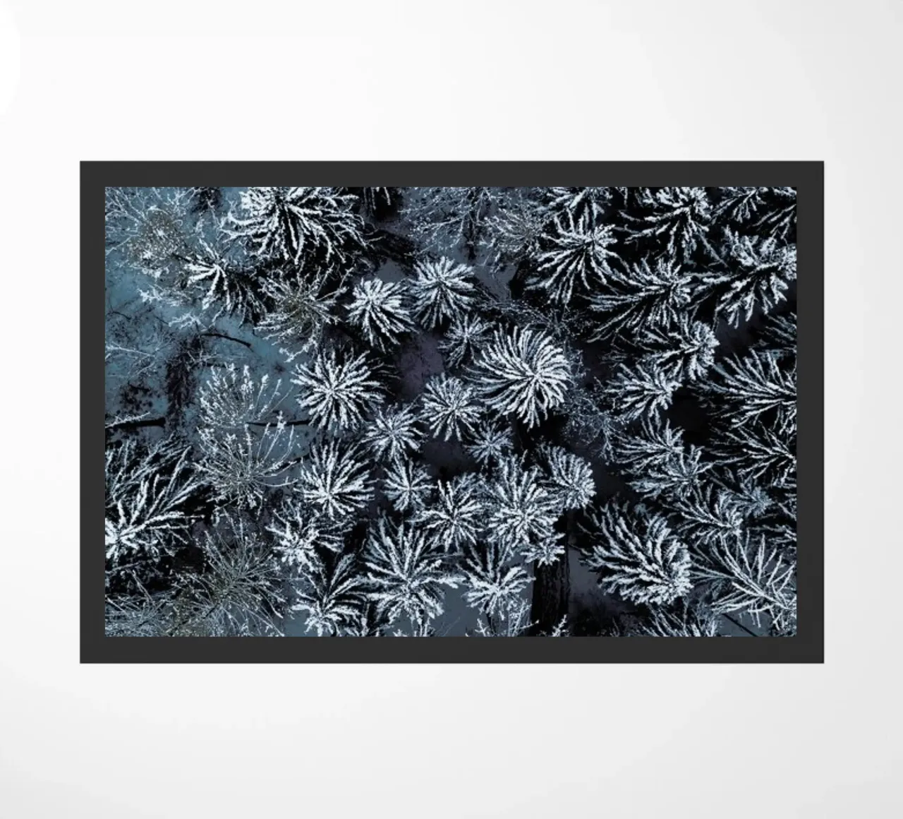 Path Through The Winter Forest zerbino da Studio Nahili