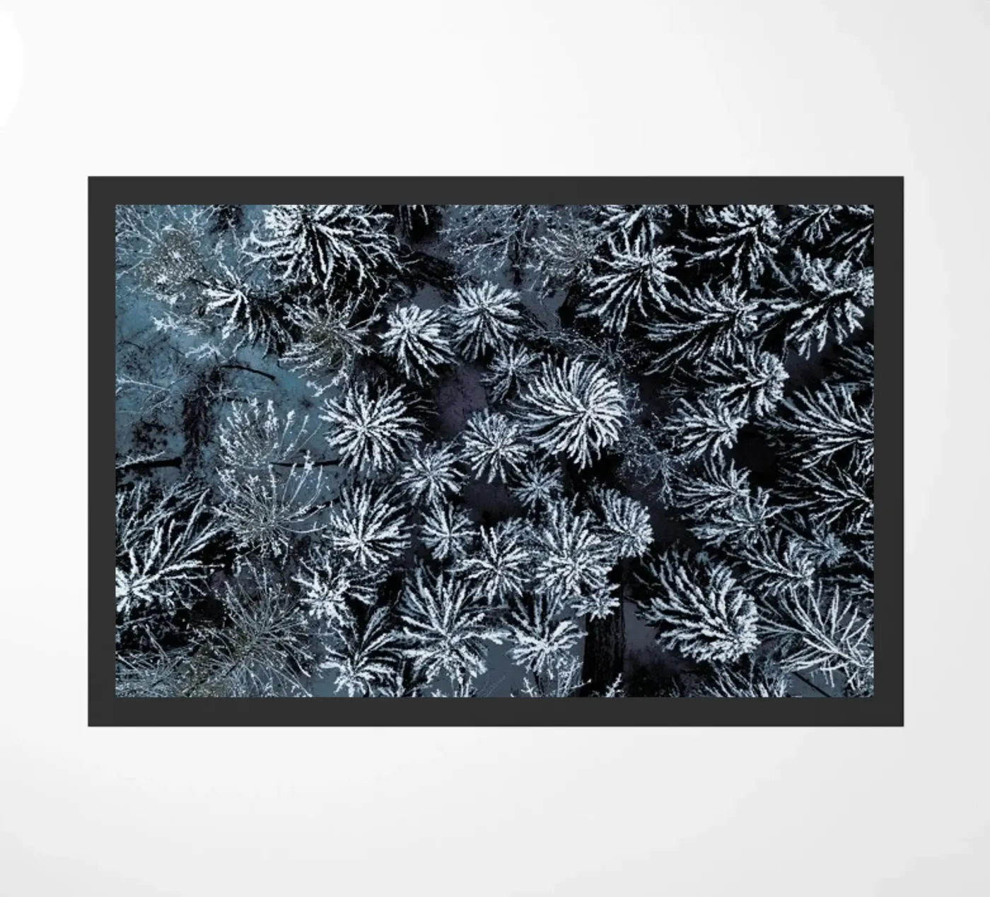 Path Through The Winter Forest zerbino da Studio Nahili