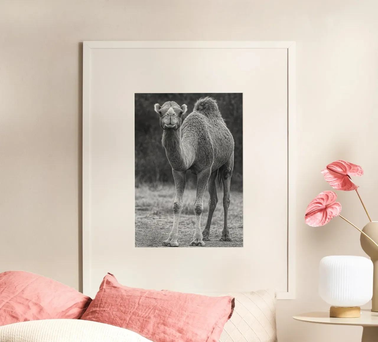 cammello fotografia in bianco e nero poster con telaio in legno da the gunduls