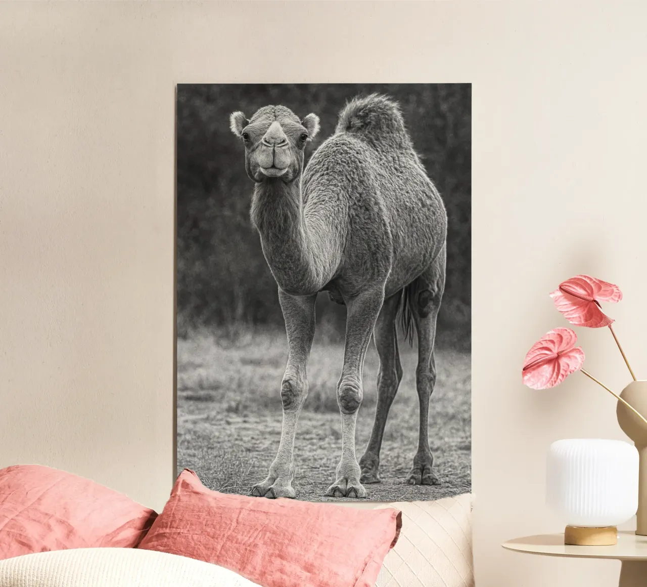 cammello fotografia in bianco e nero poster con telaio in legno da the gunduls