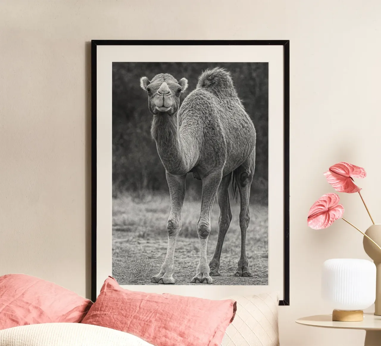 cammello fotografia in bianco e nero poster con telaio in legno da the gunduls