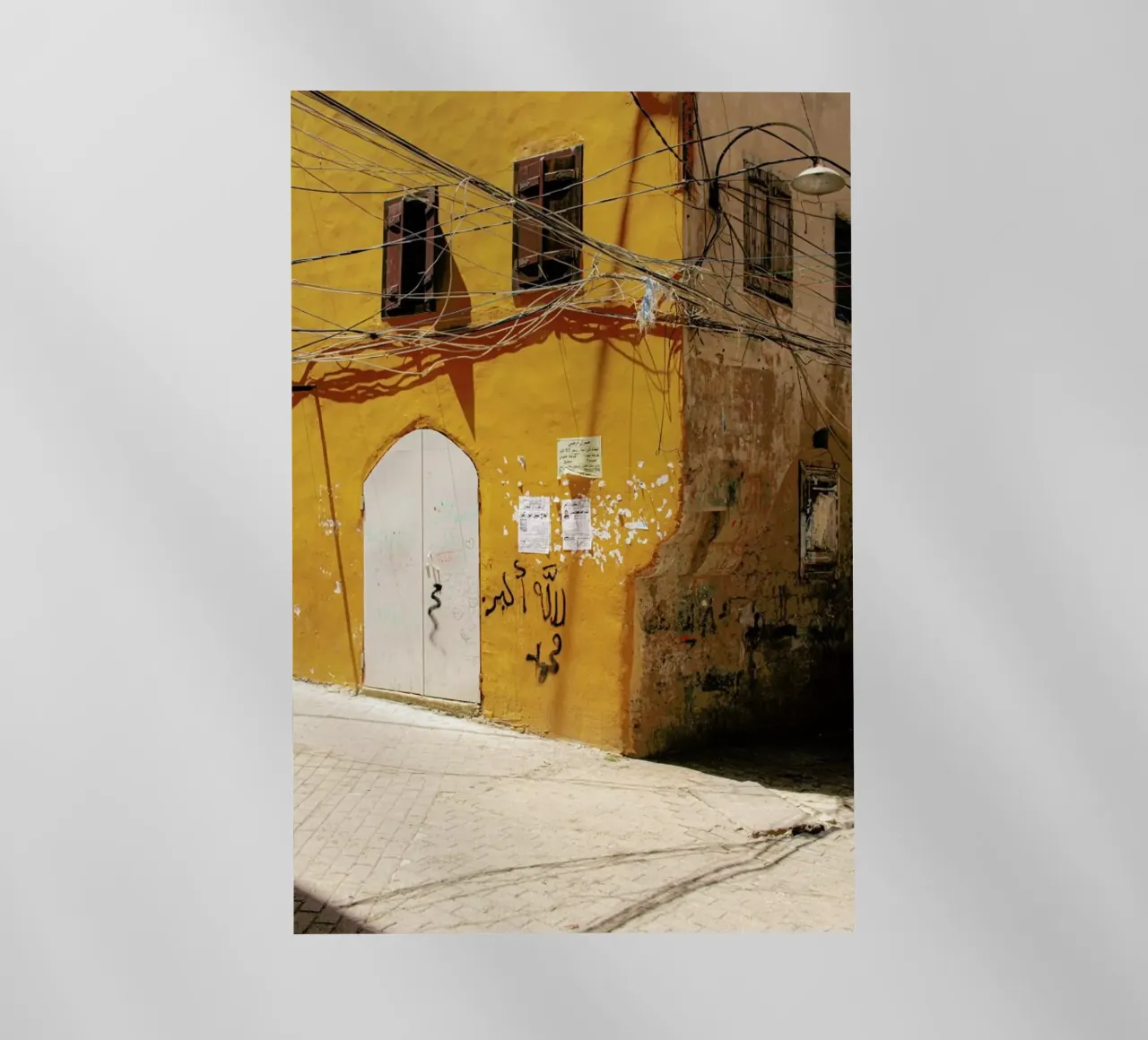 Liban pellicola backlit da Marc Schulthess