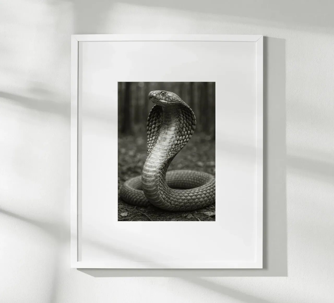 serpente cobra fotografia in bianco e nero poster con telaio in plastica da the gunduls