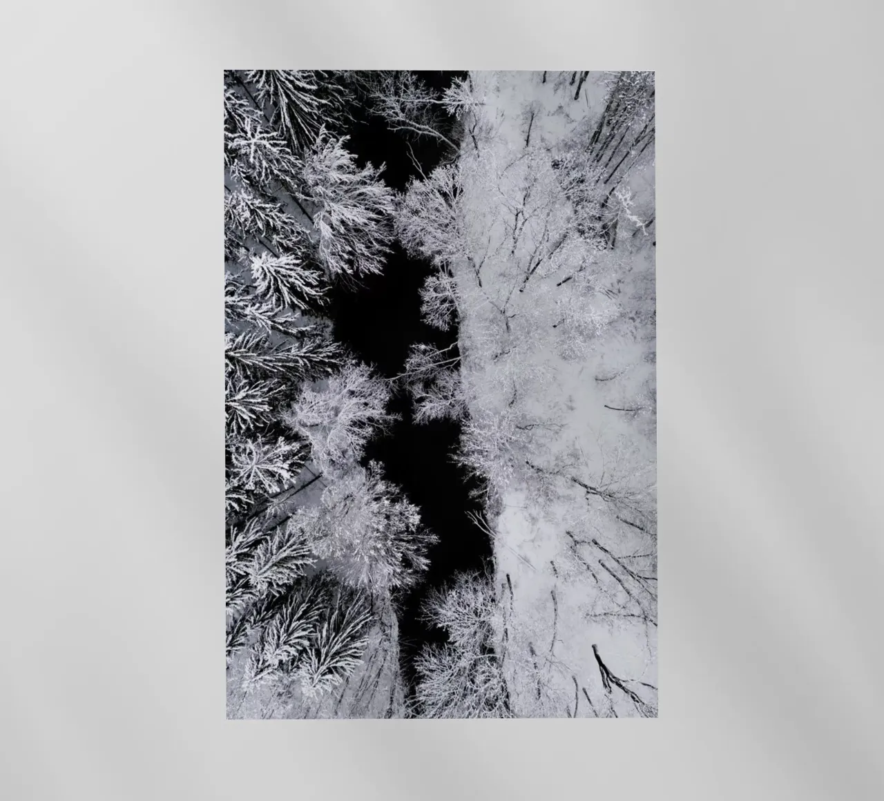 Black River Through The Snowy Winter Forest pellicola backlit da Studio Nahili