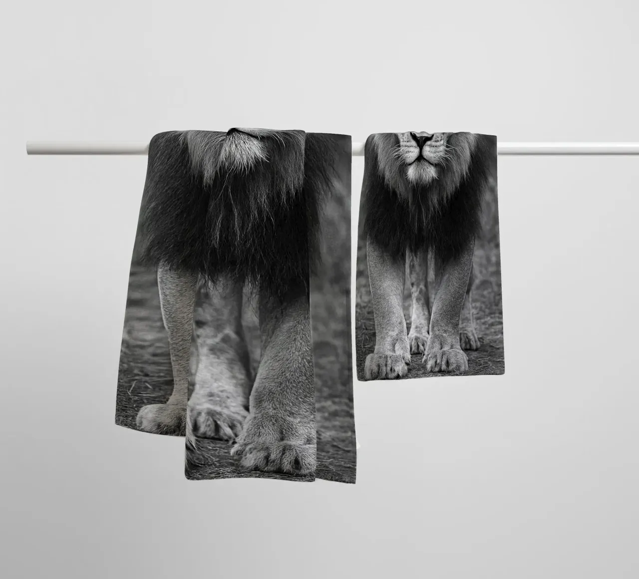 lion black and white photography towel by the gunduls