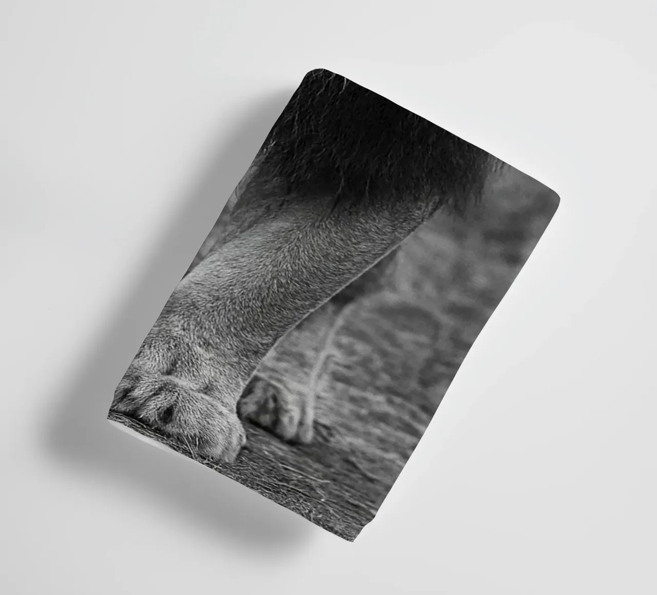 lion black and white photography towel by the gunduls