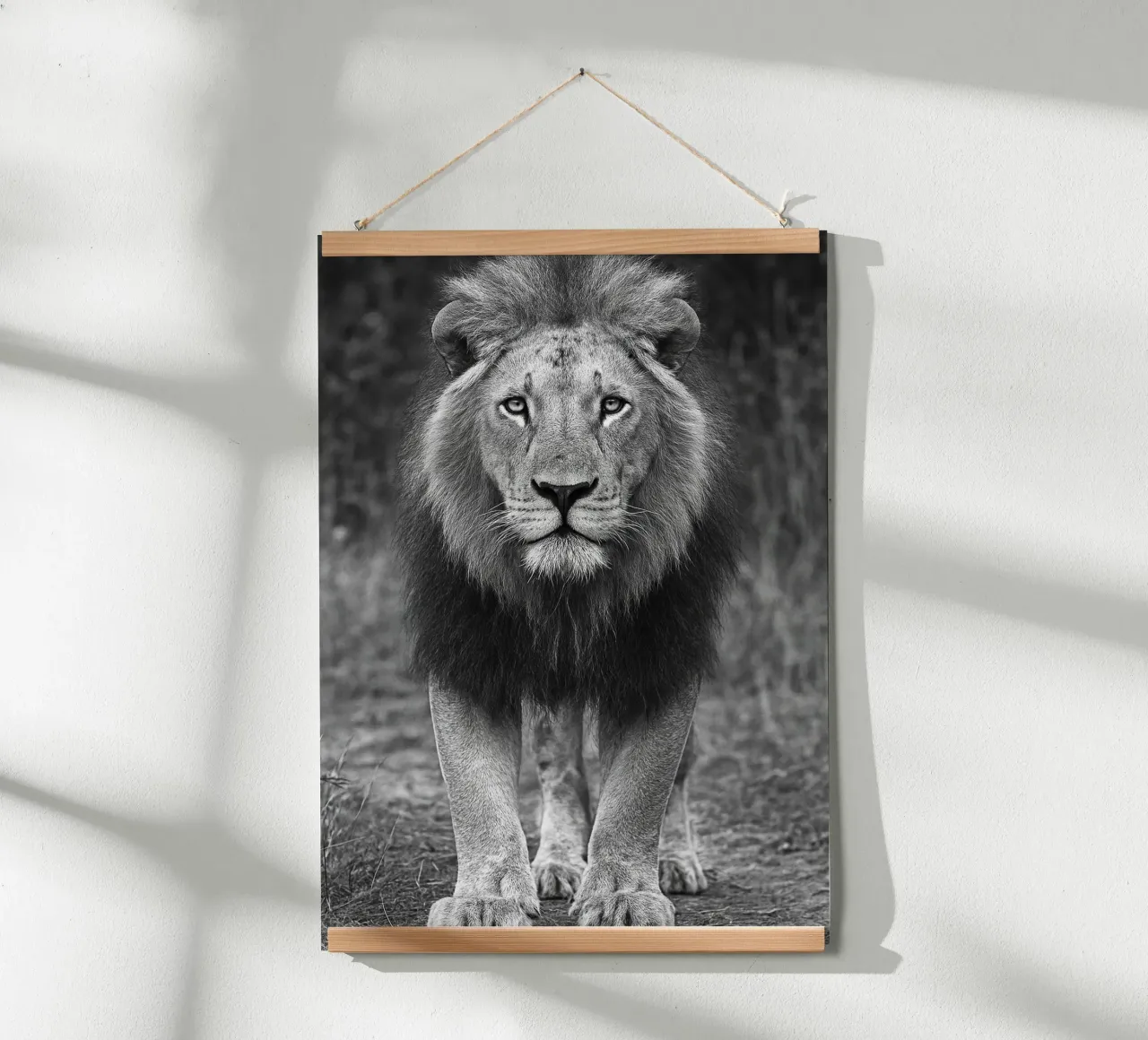 fotografia in bianco e nero con il leone poster con telaio in alluminio da the gunduls