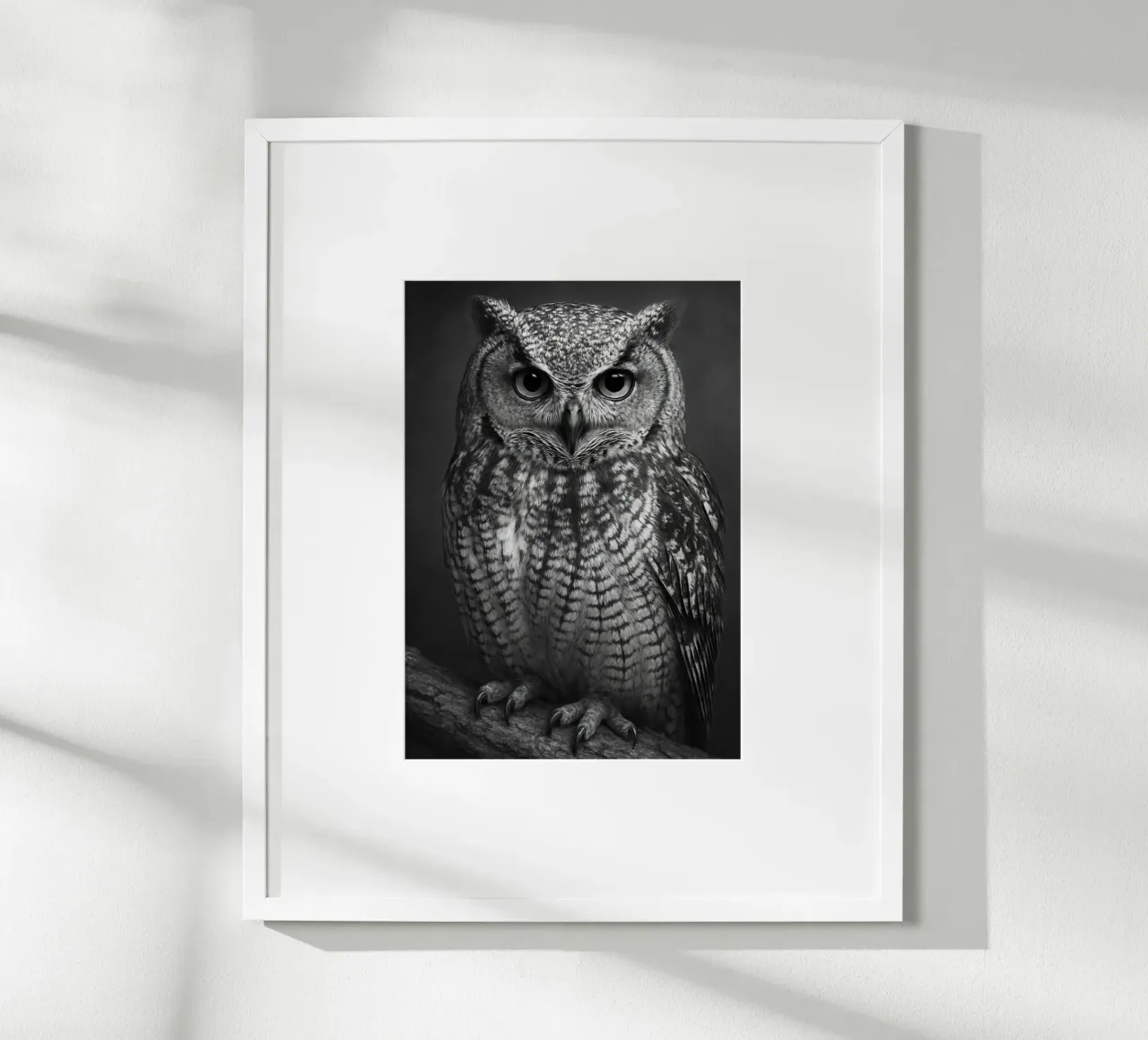 gufo uccello fotografia in bianco e nero poster con telaio in alluminio da the gunduls