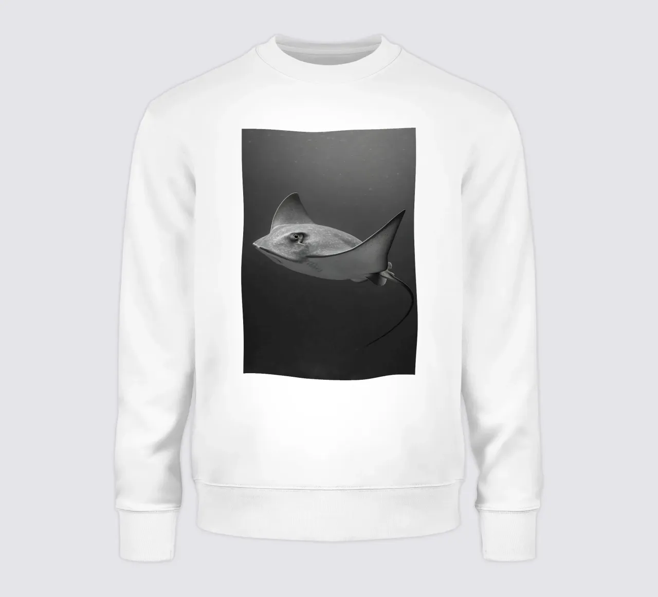 stingray black and white photography sweatshirt by the gunduls