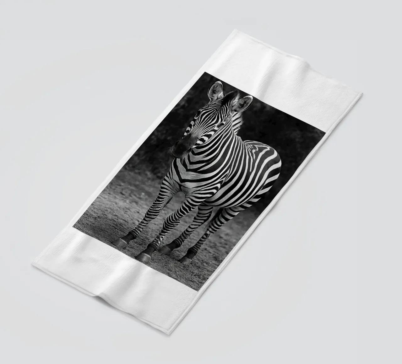 zebra fotografia in bianco e nero telo mare da the gunduls