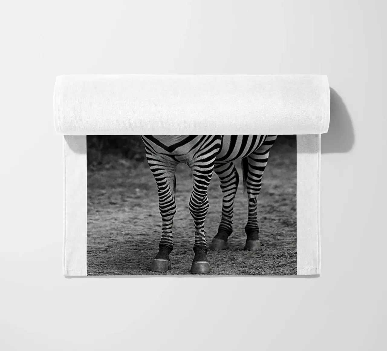 zebra fotografia in bianco e nero telo mare da the gunduls