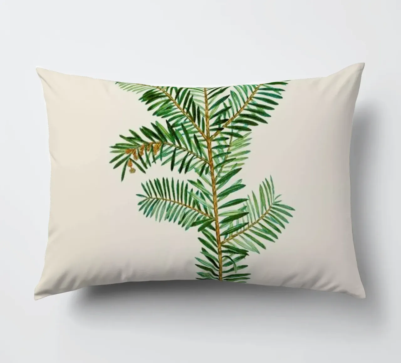 Pierre-Joseph Redouté - English Yew cuscino da Vintage by JUNIQE
