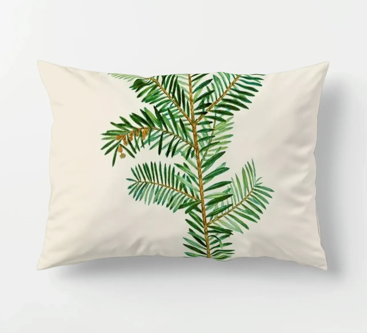 Pierre-Joseph Redouté - English Yew cuscino da Vintage by JUNIQE