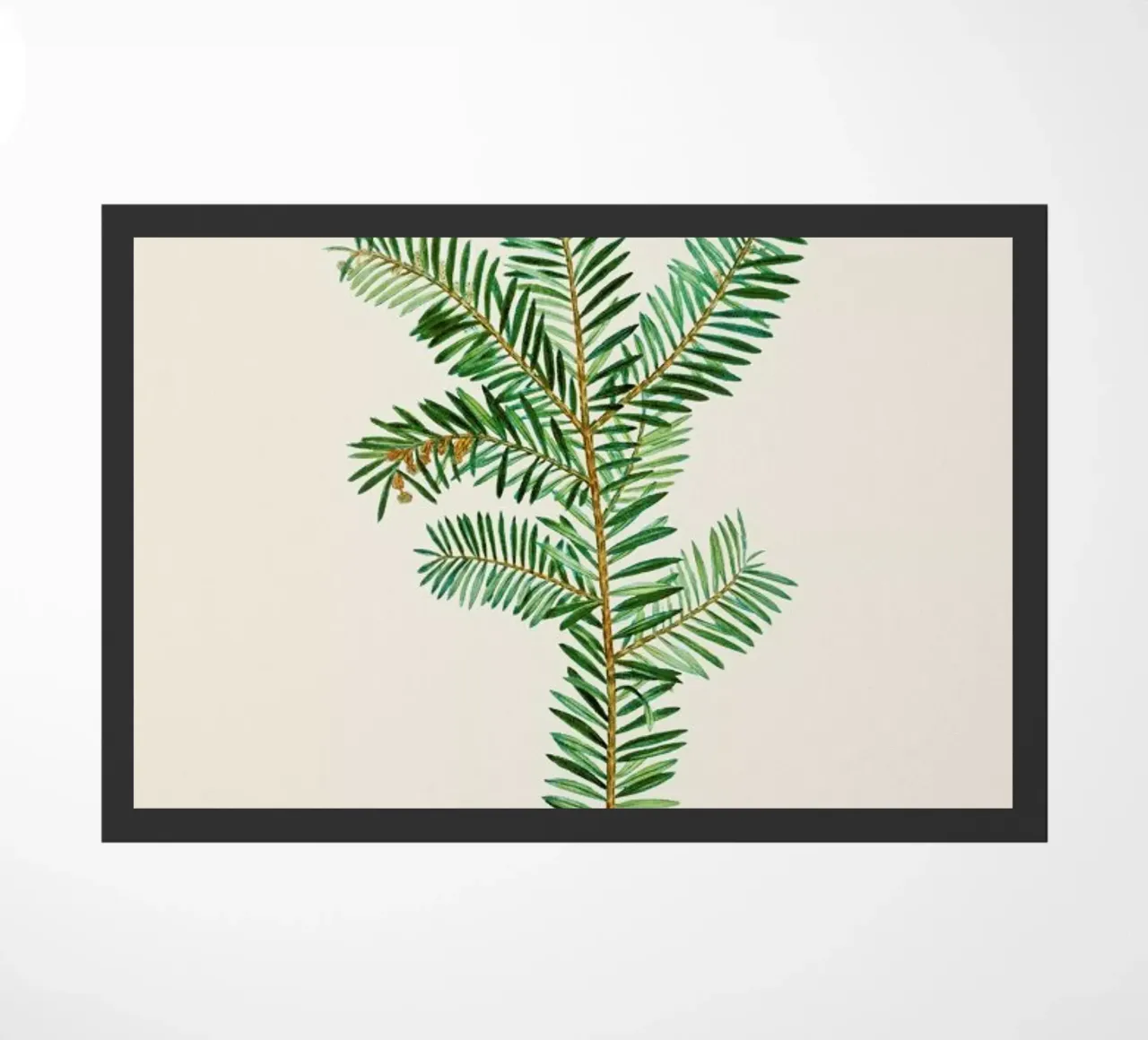 Pierre-Joseph Redouté - English Yew zerbino da Vintage by JUNIQE