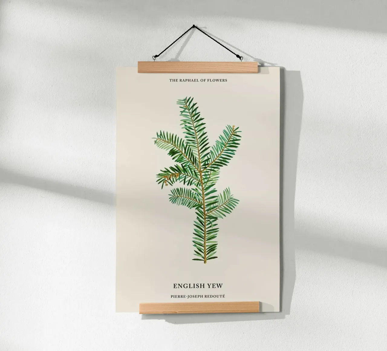Pierre-Joseph Redouté - English Yew poster con telaio in legno da Vintage by JUNIQE