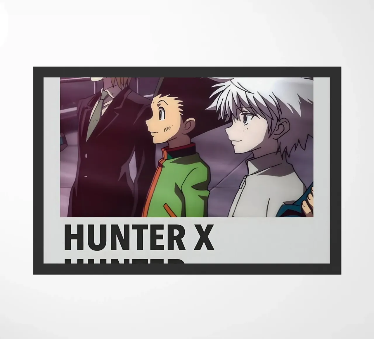 HUNTER X HUNTER 2011 zerbino da Totoya