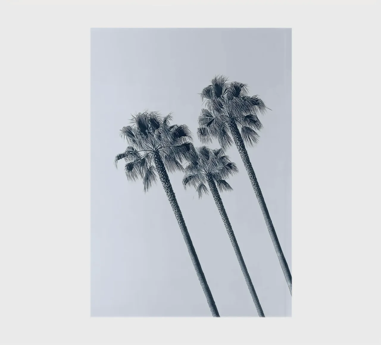 Palm Rhythm notebook by Moon  Bloom