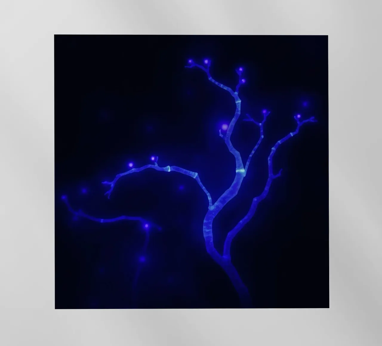 Forme curve e luminescenti in colori pastello si fondono tra loro. pellicola backlit da DesignDoodle